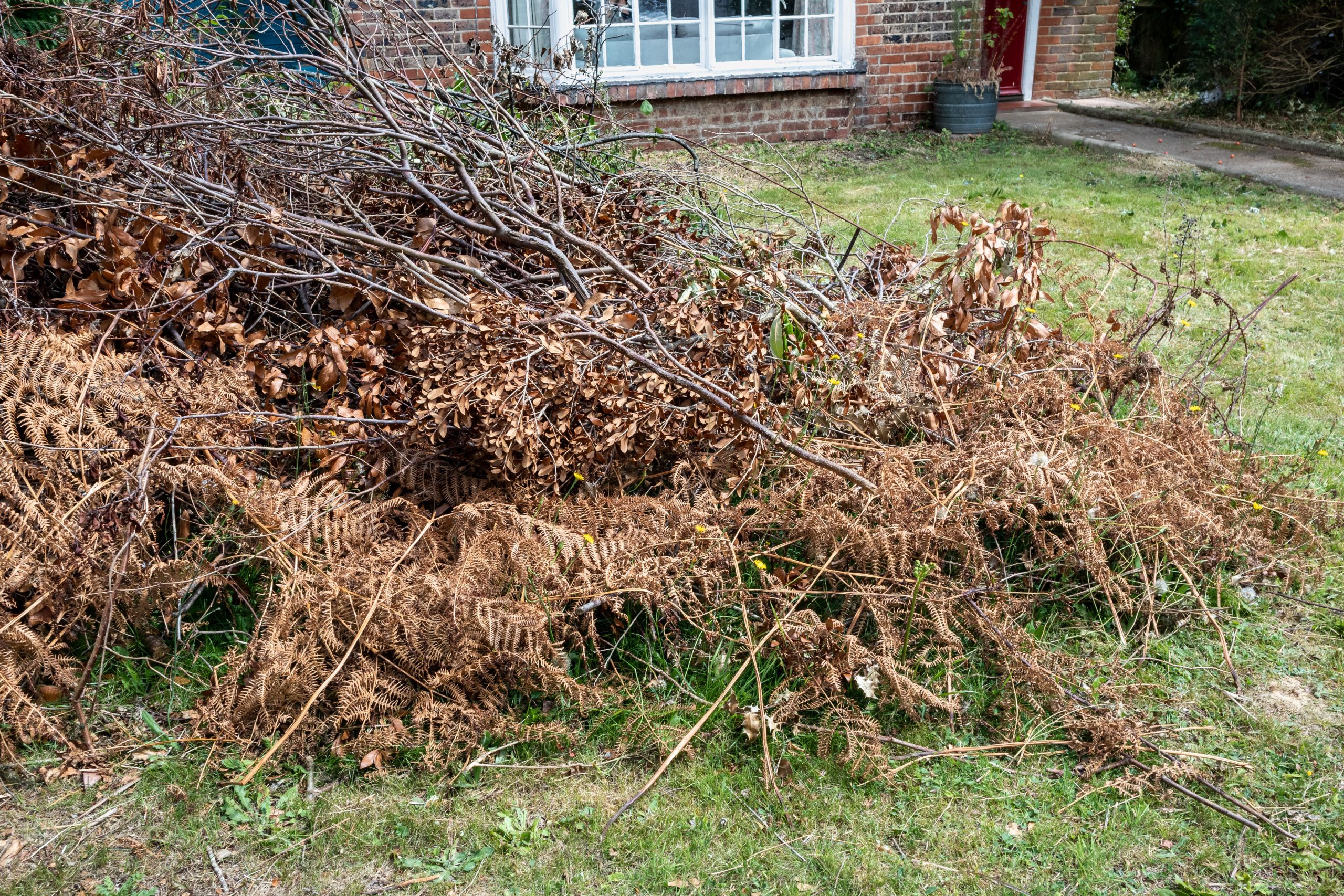 Garden Green Waste Removal Worcester Park KT4